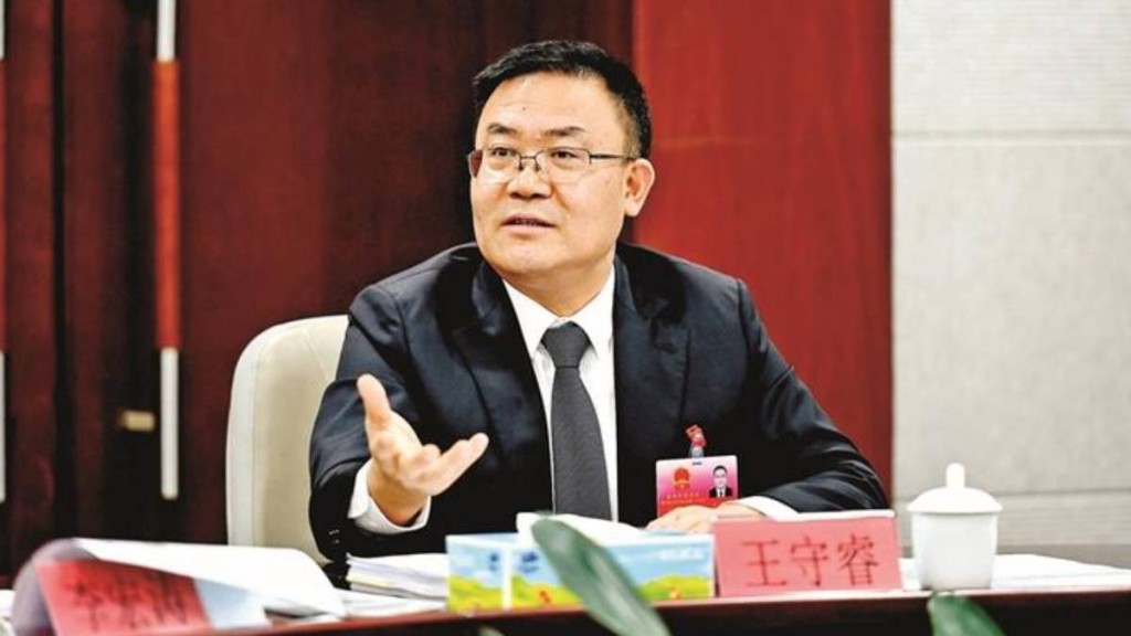 王守睿任深圳市副市长。