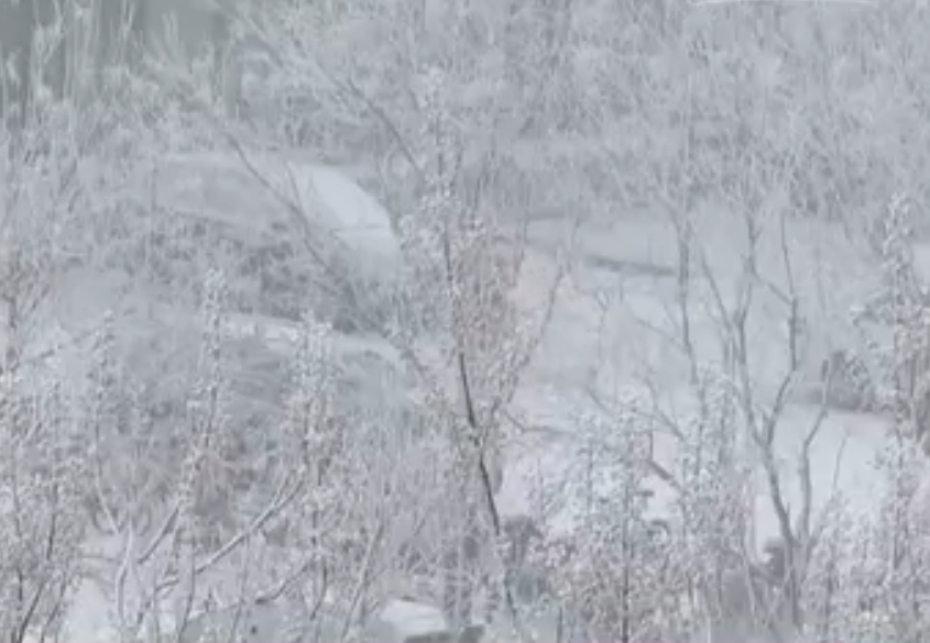 當地市民表示，起初以為只是陰天，走到街上才知道下雪，也感覺空氣比平日好。