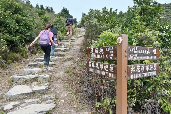 劉國勳建議政府參考蓮麻坑村及紅花嶺郊野公園的「限車不限人」模式。