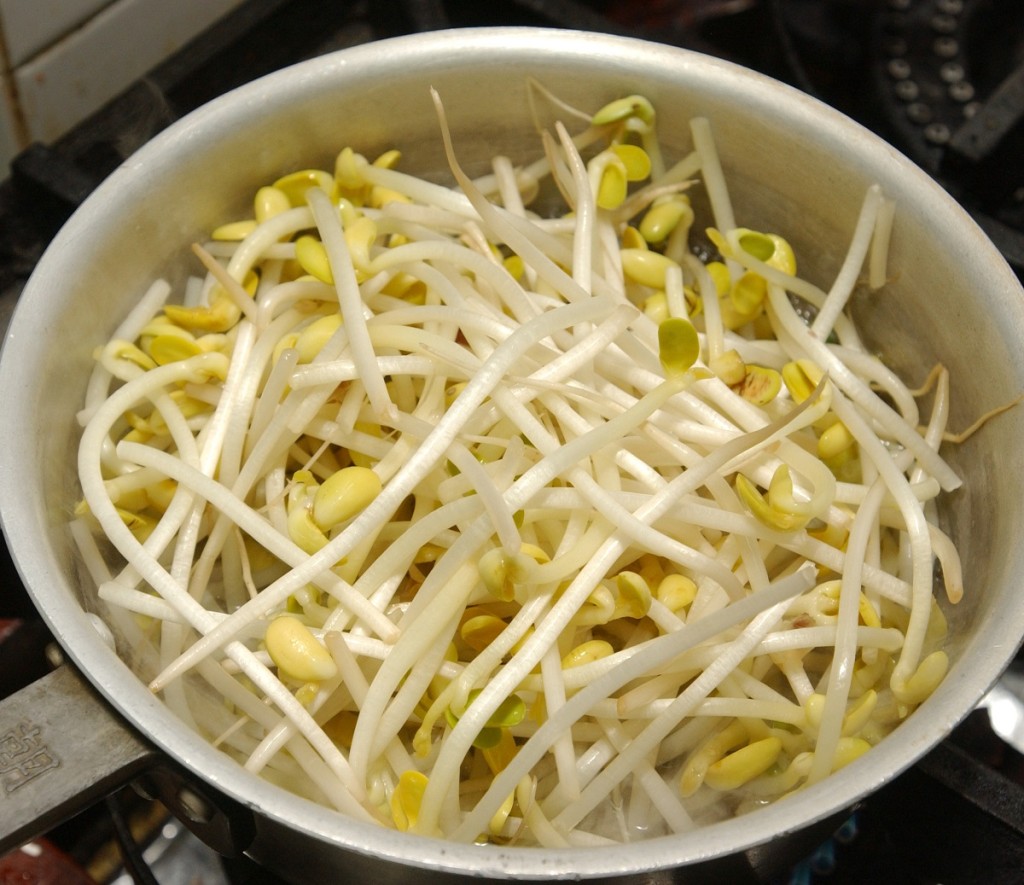 芽菜。資料圖片