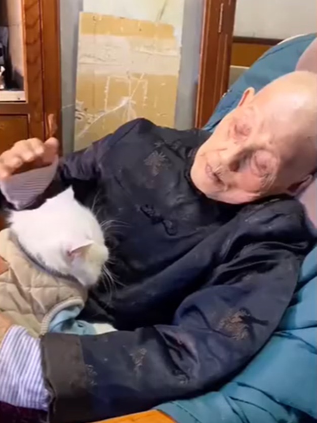 婆婆摸著愛貓緊擁道別。網圖