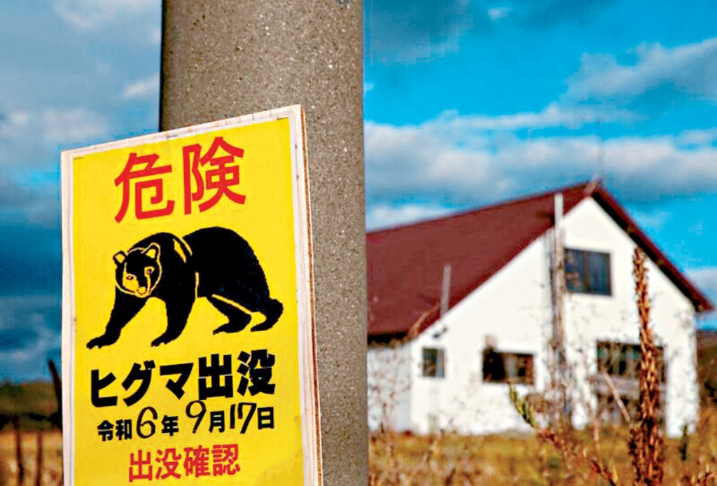 日本早前甚至有居民遭熊襲,造成死傷。