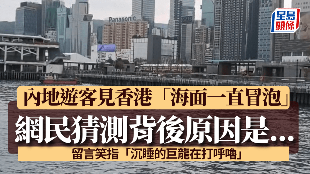 內地遊客香港驚見「海面一直冒泡」？留言笑指「沉睡的巨龍在打呼嚕」 網民猜測背後原因是...