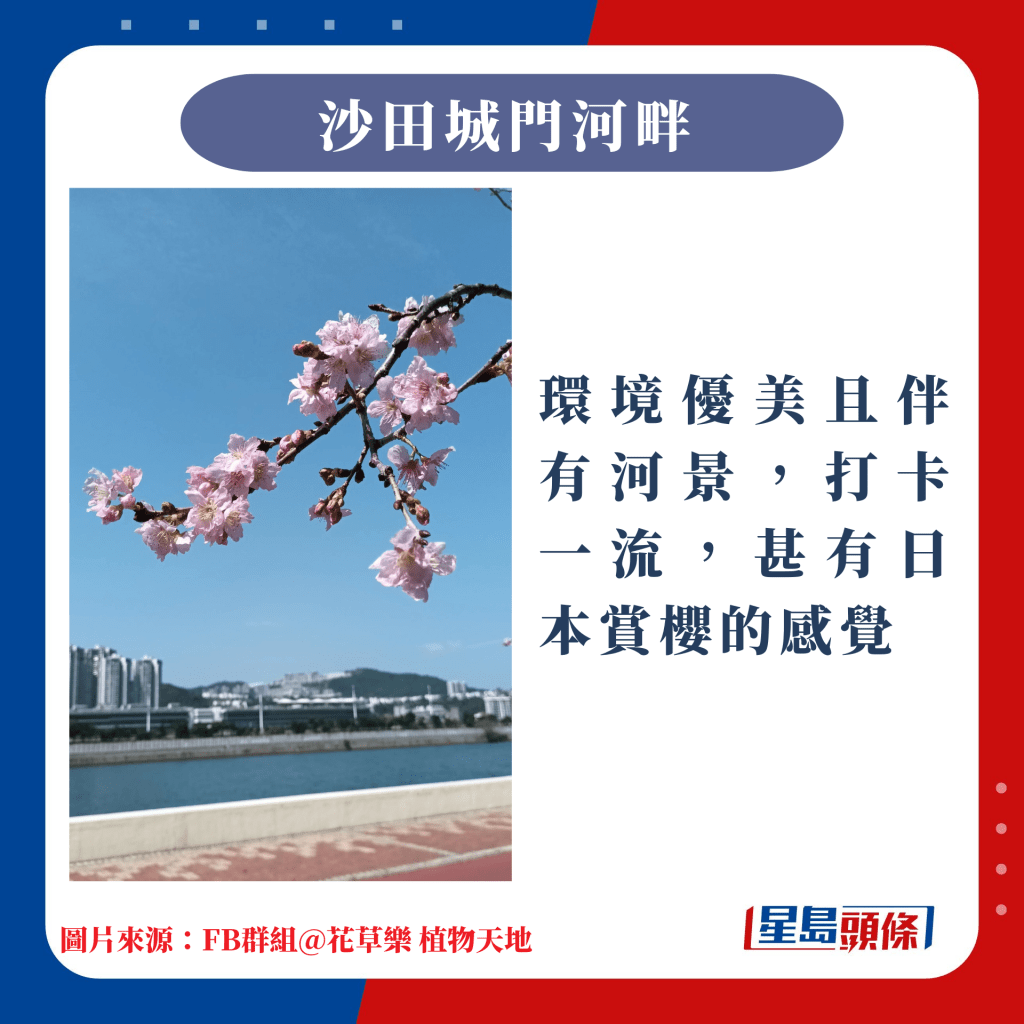 香港10大赏樱热点｜环境优美且伴有河景，打卡一流，甚有日本赏樱的感觉