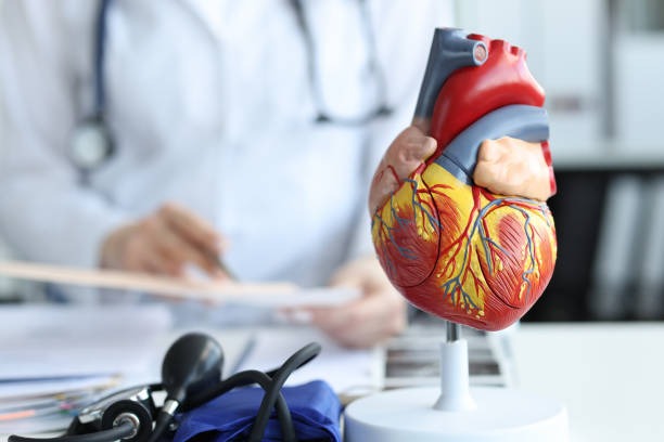 美國每年有近100 萬人死於心血管疾病。istock