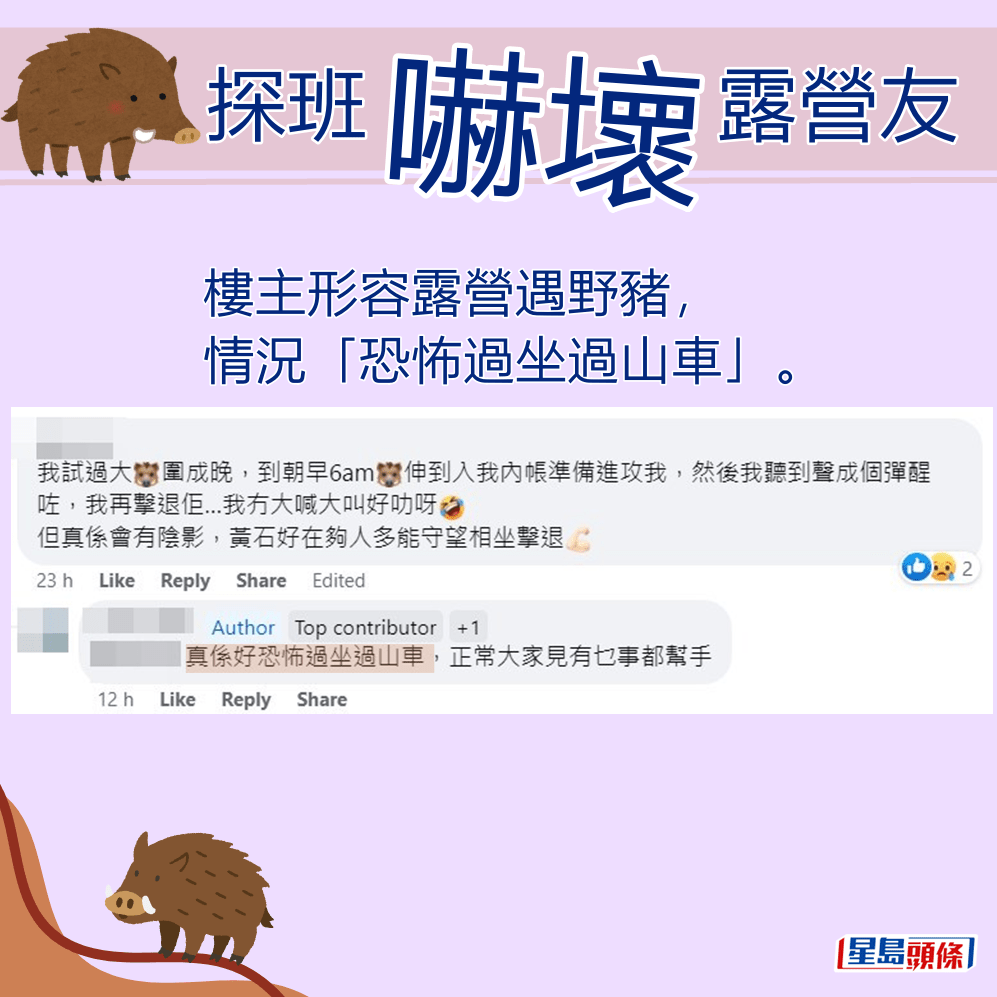 樓主形容露營遇野豬，情況「恐怖過坐過山車」。fb「香港人露營分享谷」截圖