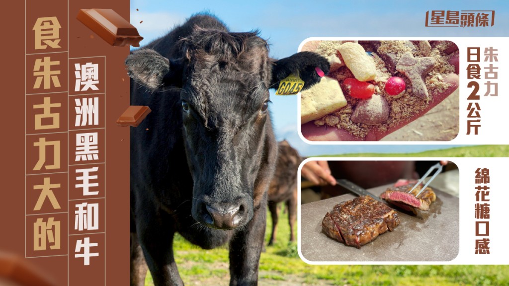完美牛扒｜食朱古力大的澳洲和牛 赤肉軟腍油脂如綿花糖  