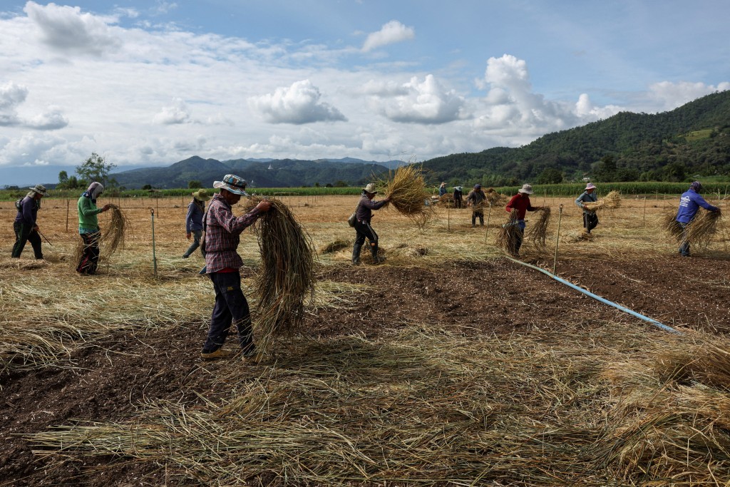 美國指緬甸的治理和穩定狀況已有所改善。路透社