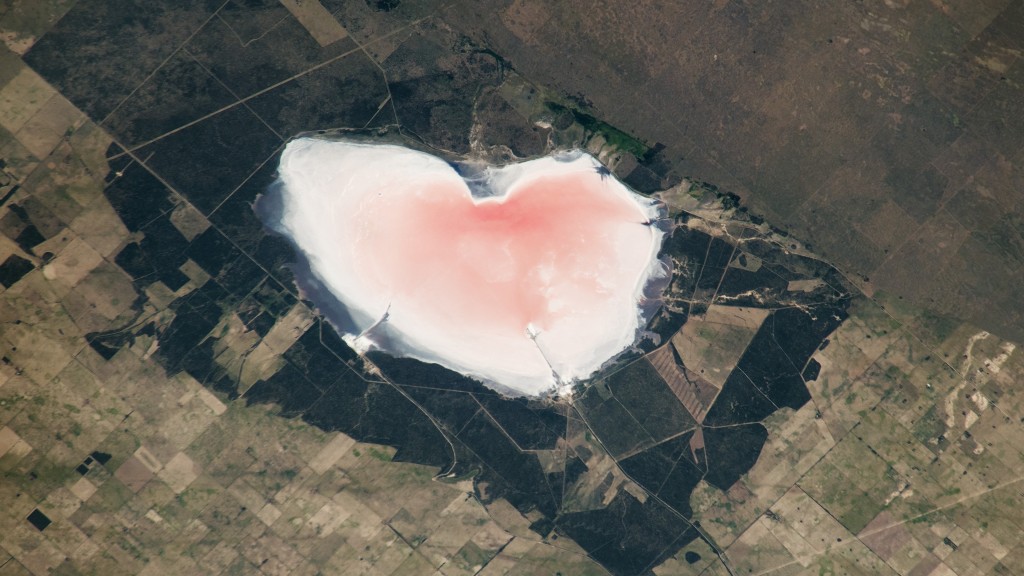 Salinas Las Barrancas / NASA