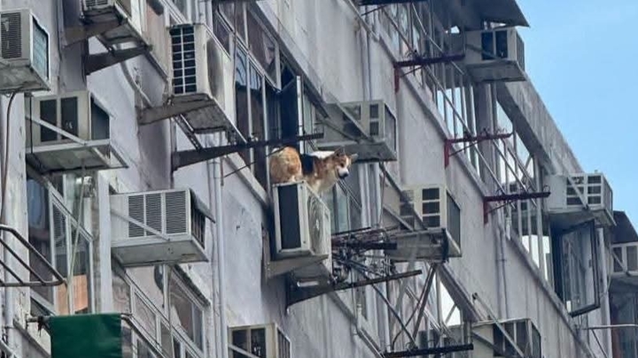 fb香港交通及突发事故报料区图片