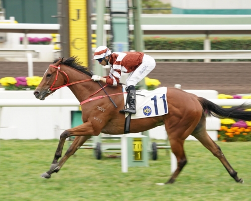 第七場莫雷拉策騎「好眼光」成功起孖,勝來兵不血刃。
Curry 攝
