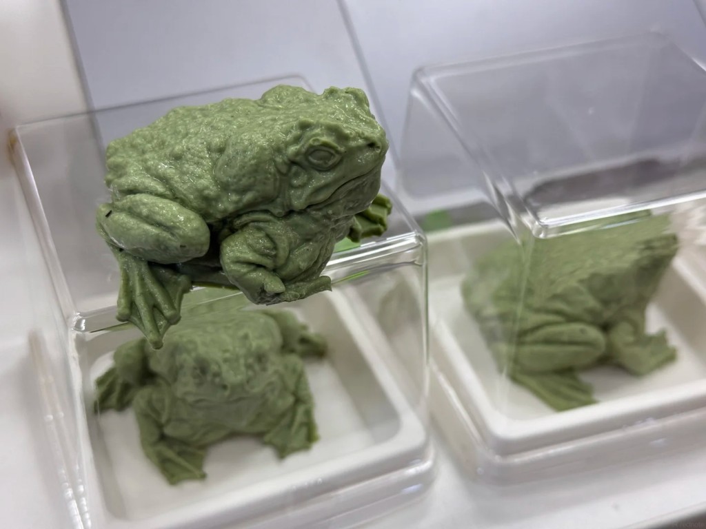 北京中国农业大学食堂“癞蛤蟆蛋糕”爆红。 小红书 北京中国农业大学食堂“癞蛤蟆蛋糕”爆红。 小红书