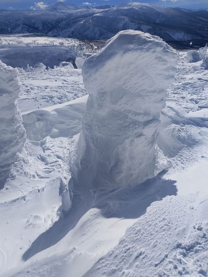 台灣網友看樹冰墮雪洞險死。 facebook / Hikohiro Chin