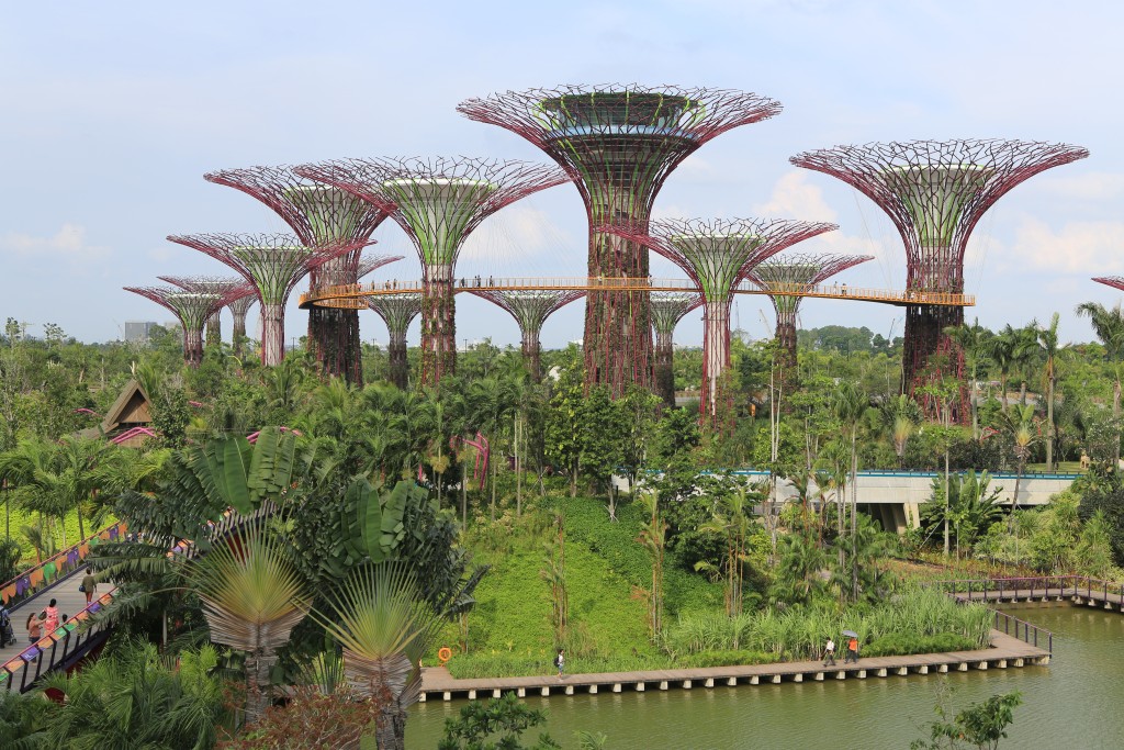 新加坡濱海灣花園排第8。維基網站圖片