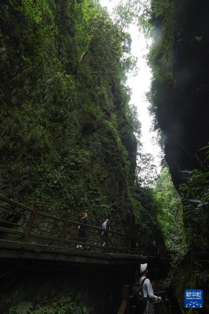 峨眉山景區清音閣黑龍江棧道處的地質景觀「一線天」。 新華社