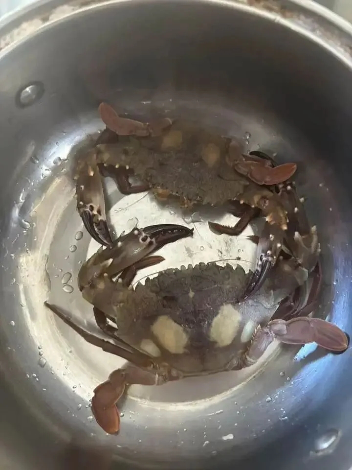 煮海鮮是栗子的無人島生活日常。 煮海鮮是栗子的無人島生活日常。