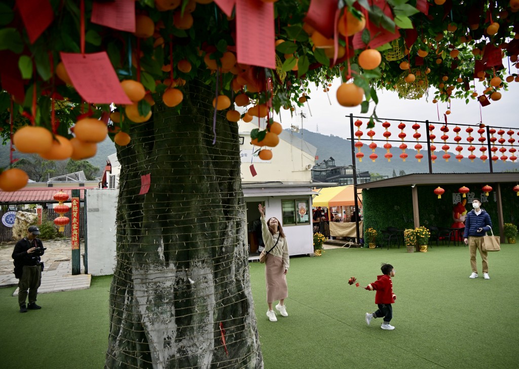大埔林村许愿节即日起至正月十五，一连15日在林村许愿广场举行。苏正谦摄