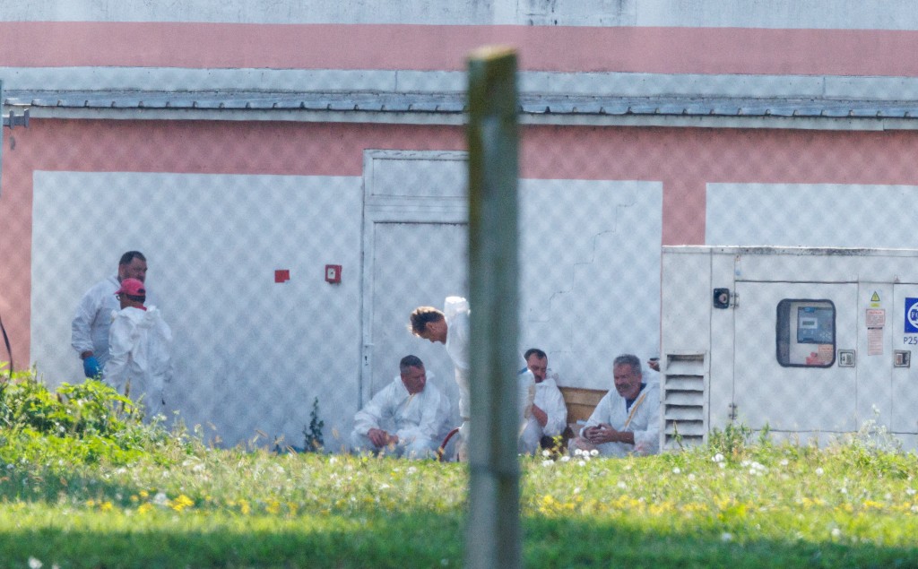 克羅地亞較早前也爆發非洲豬瘟。路透社