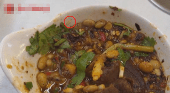 貴陽女食火鍋驚見活蛆蠕動。百姓關注