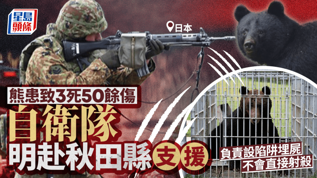 遊日注意 | 熊害升級 本州僅千葉縣倖免 自衛隊明赴秋田支援