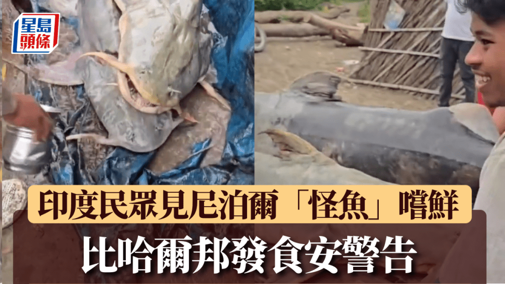 尼泊爾泥石流發生後，「不明外來魚」湧入印度。  @rajivojha9 / X