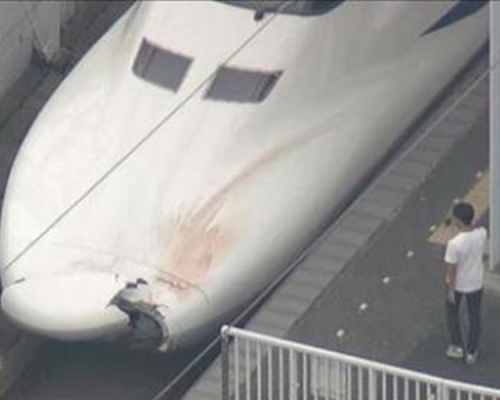 日本新幹線列車疑撞人,車頭現血跡。網上圖片