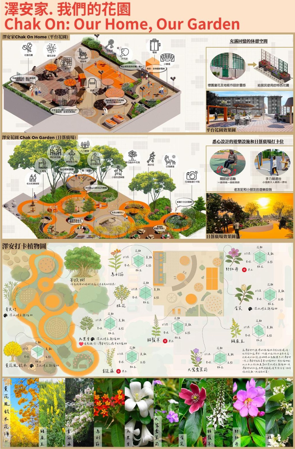 新晉組冠軍作品。 新晉組冠軍作品。
