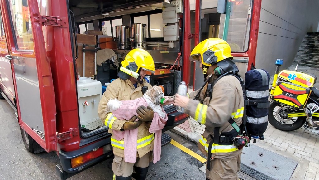 消防救出宠物狗，并交回主人。
