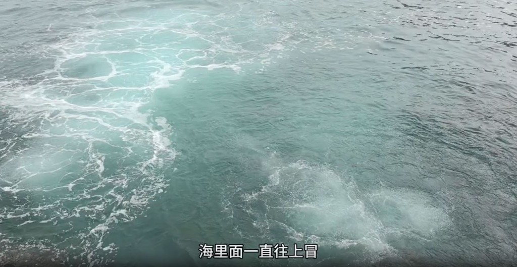 樓主指海裏面一直往上冒。（圖片來源：小紅書@Nicolas）