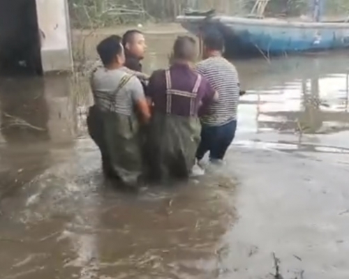 被困麋鹿在志願者幫助下已遷徙到高地。網上截圖