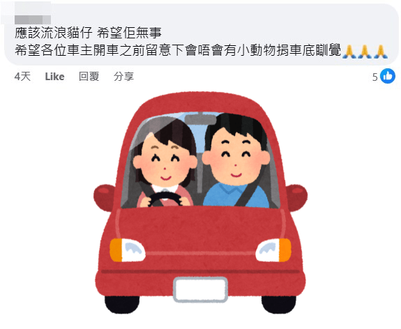 網民：應該流浪貓仔，希望佢無事。fb「車Cam L（香港群組）」截圖