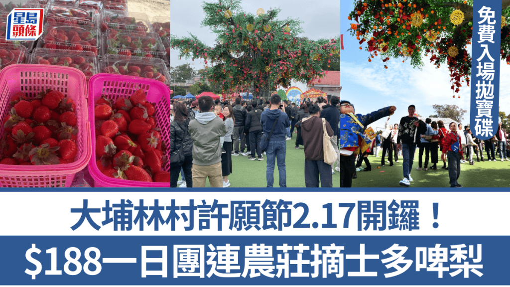 大埔林村許願節2.17開鑼！免費入場拋寶碟、放蓮花燈 $188一日團連農莊摘士多啤梨