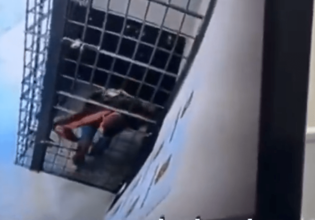 男子先將頭和右手一起伸出,覺得不順。 X 男子先將頭和右手一起伸出,覺得不順。 X