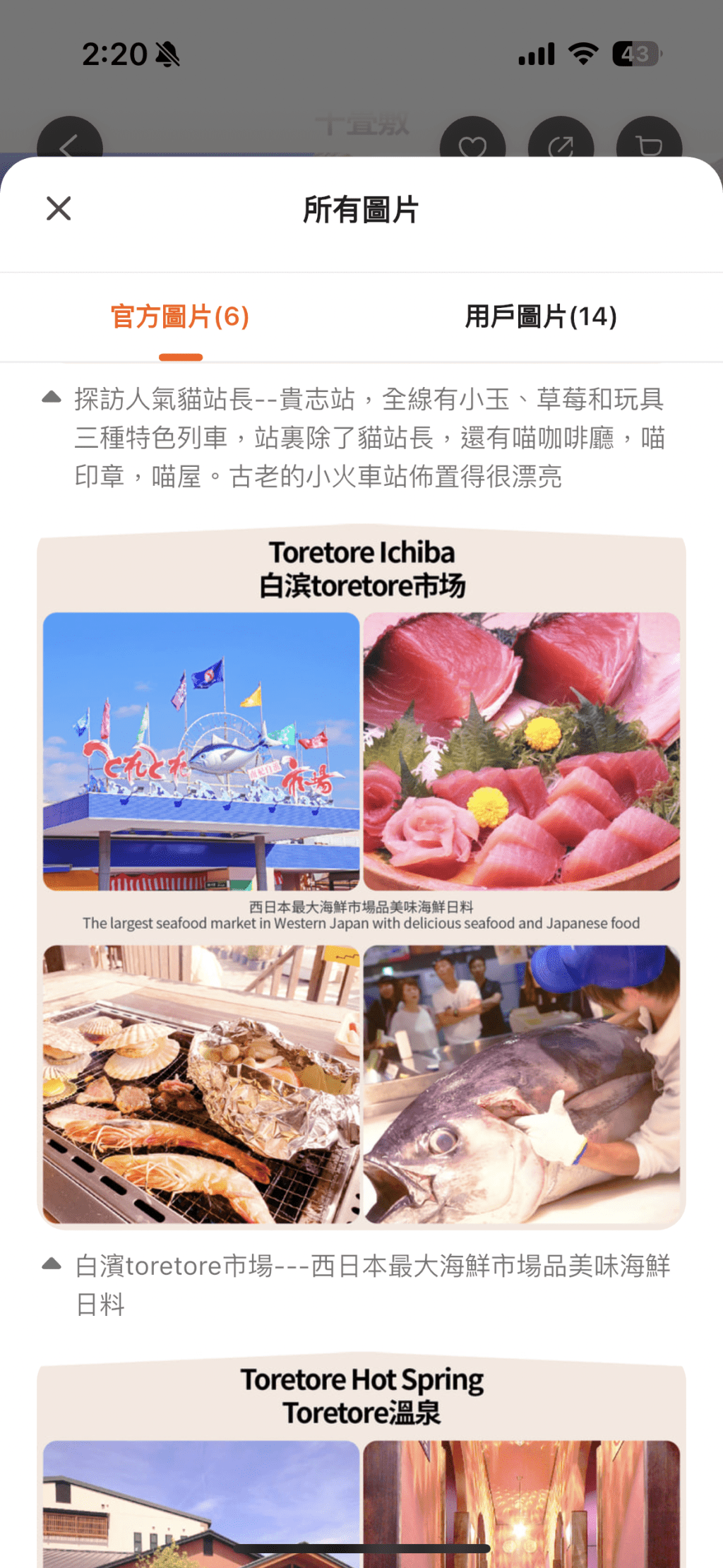 行程包括前往西日本最大海鮮白濱toretore市場品美味海鮮料理。Klook截圖