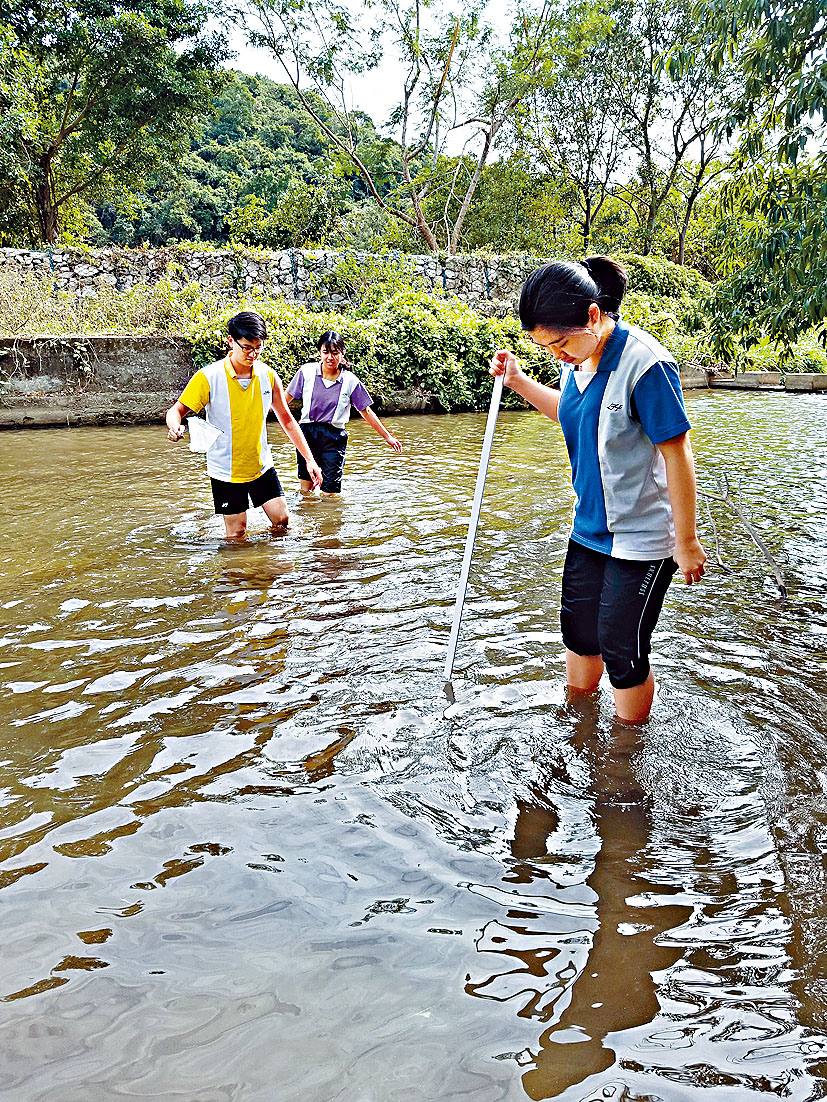 去年首設的「實地考察為本問題」，考學生以往的考察經驗和反思。