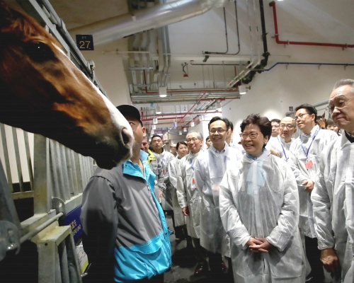 參觀香港賽馬會從化馬場的馬房。政府新聞處