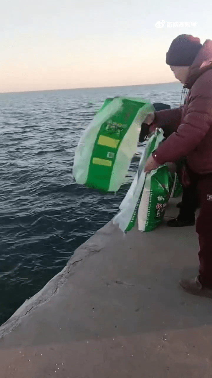 遼寧葫蘆島多人海邊「放生大米」。 遼寧葫蘆島多人海邊「放生大米」。