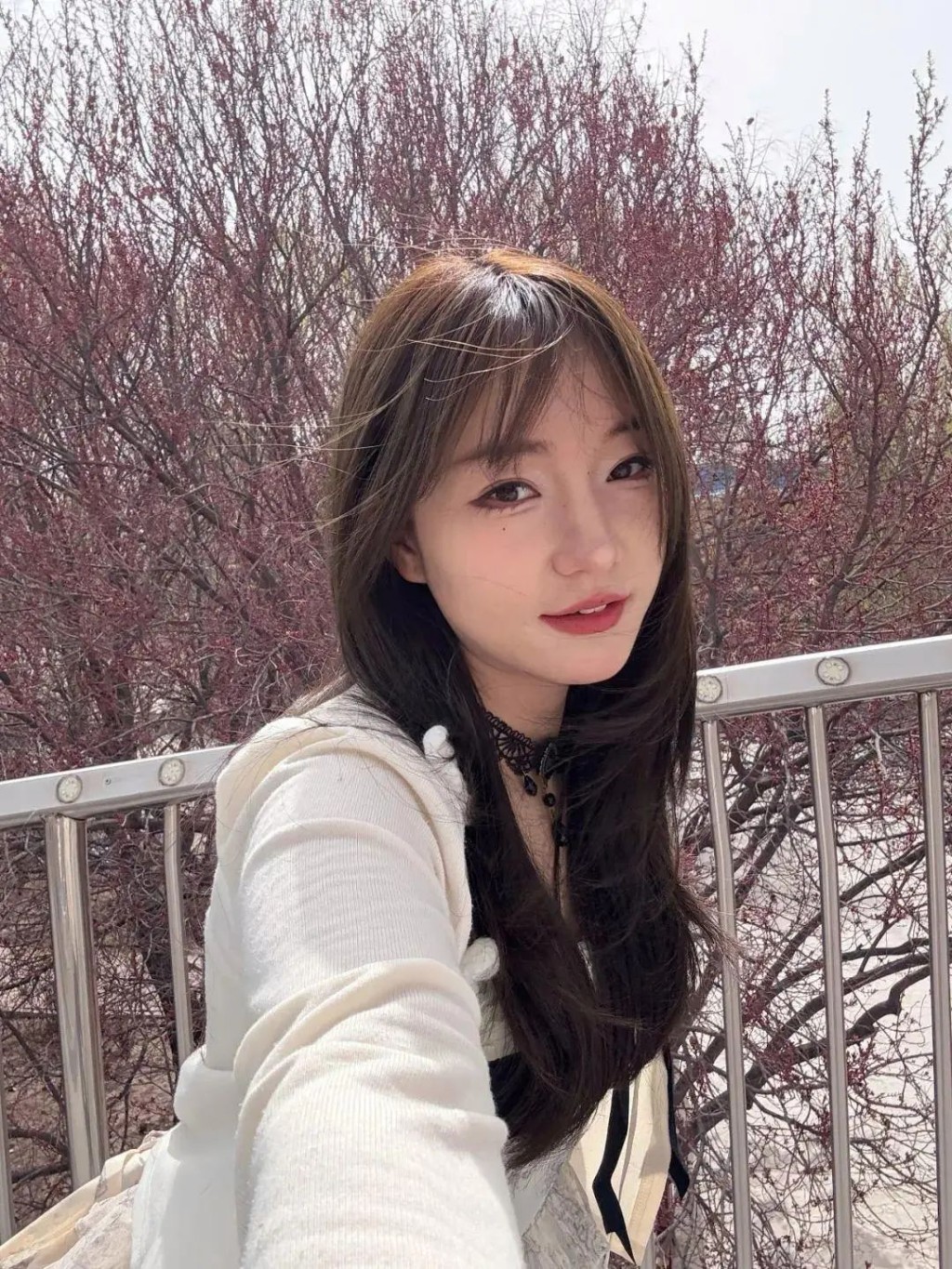 车祸发生后，白女士胸部以下高位截瘫。大象新闻