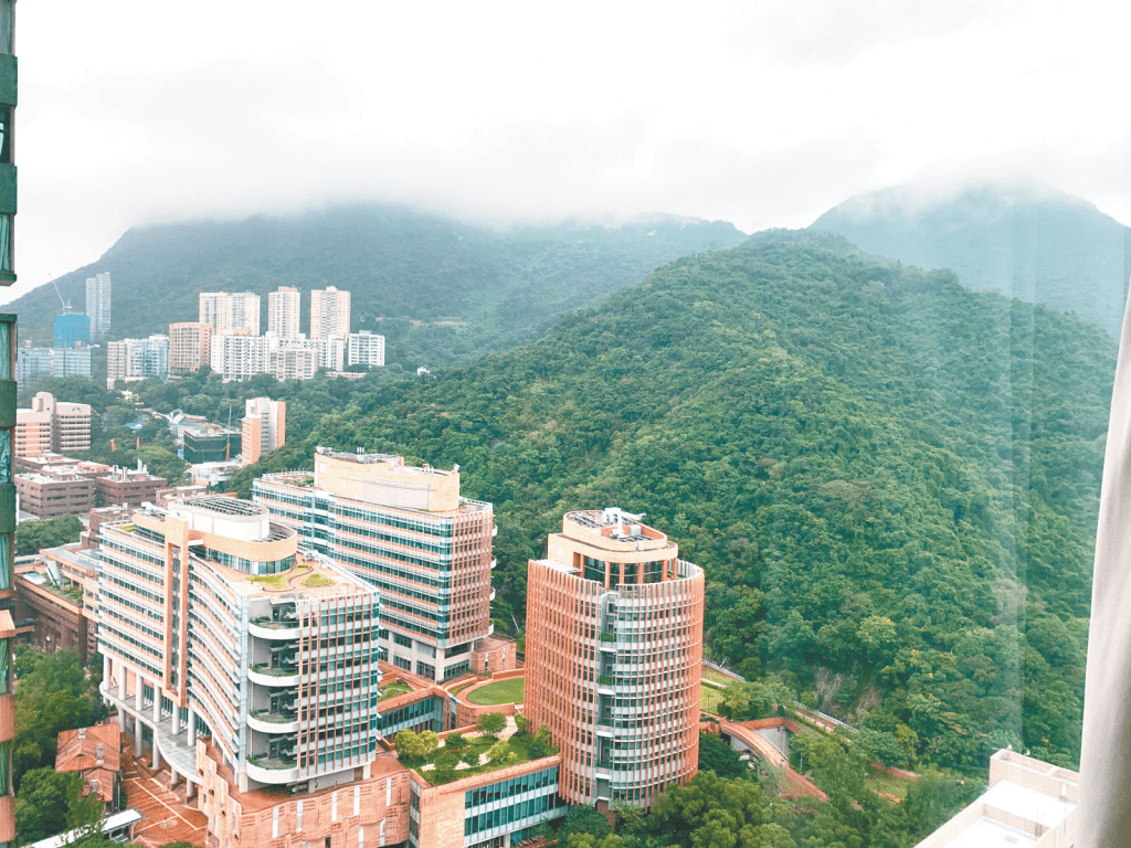放盤外看，為翠綠山景及香港大學賽馬會學生村。