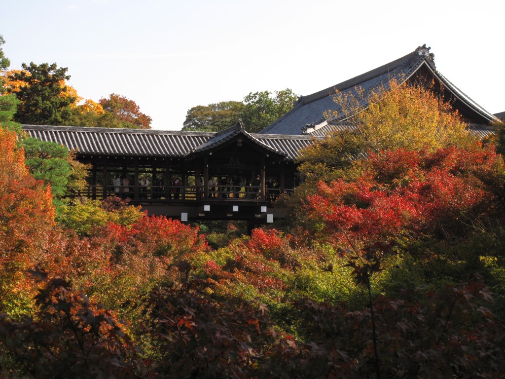 在东福寺通天桥，可赏到迷人的红叶景致。