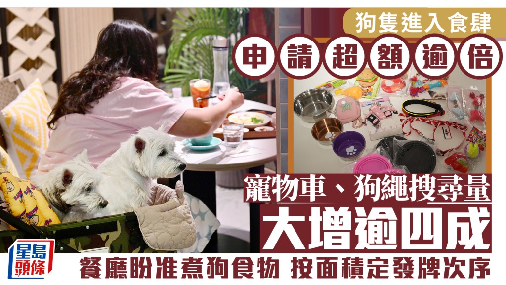 狗隻入食肆︱寵物車、狗繩搜尋量大增逾四成 餐廳盼准煮狗食物 按面積定發牌次序︱新聞追擊