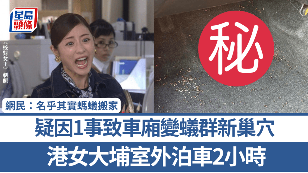 港女大埔室外泊车2小时 疑因1事致车厢变蚁群新巢穴 网民：名乎其实蚂蚁搬家