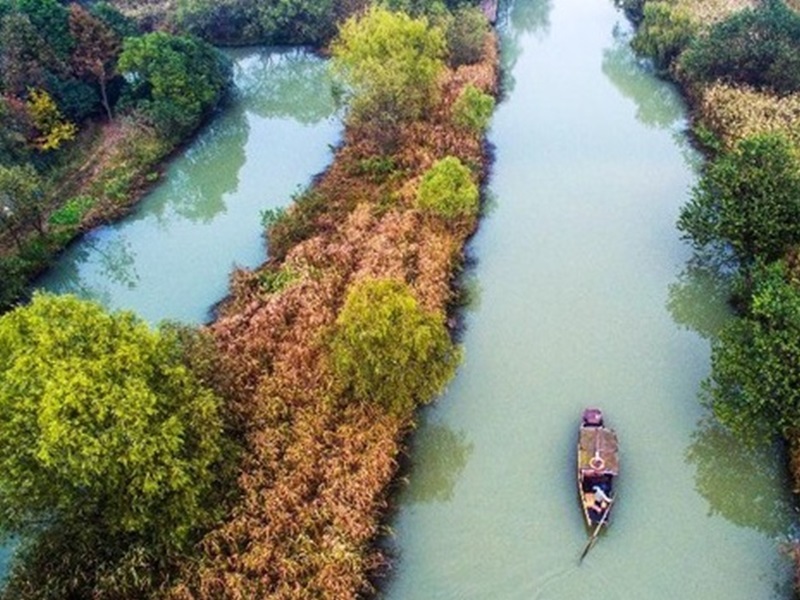 馬雲望西溪濕地變另一個紐約中央公園。網圖