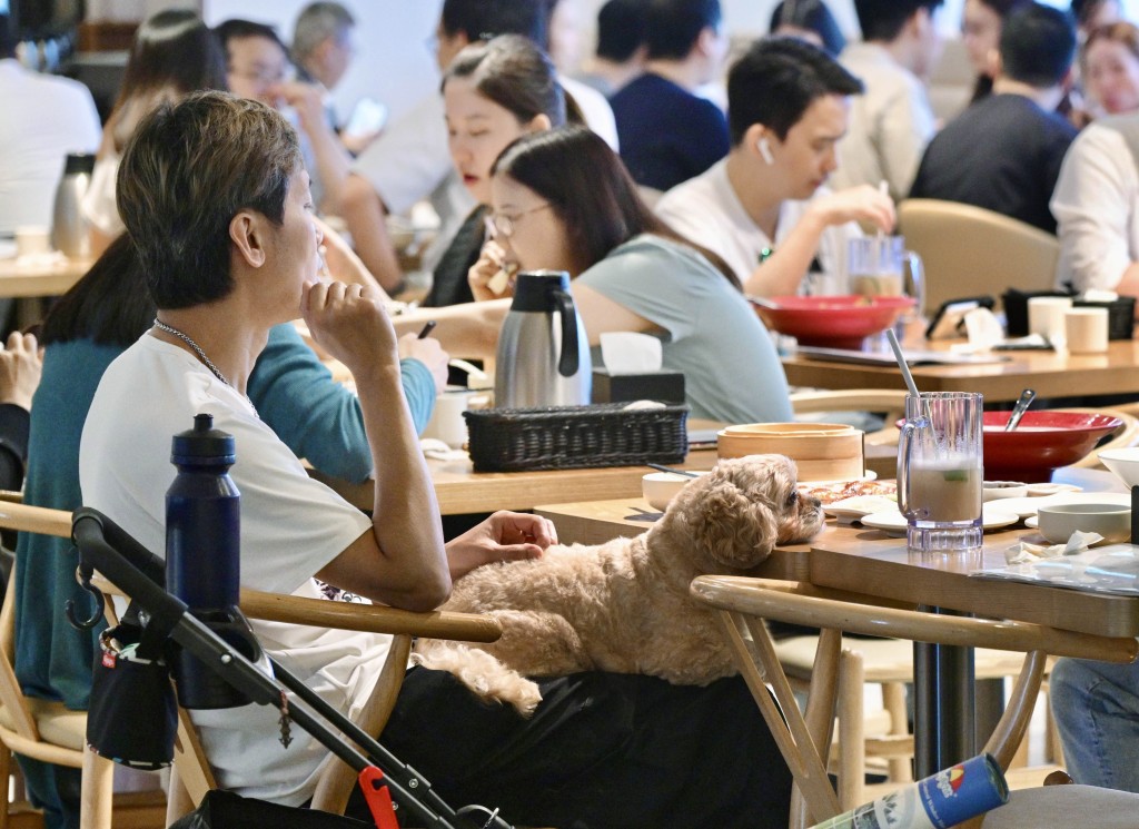 容許狗隻進入食肆牌照6月8日截止申請。資料圖片