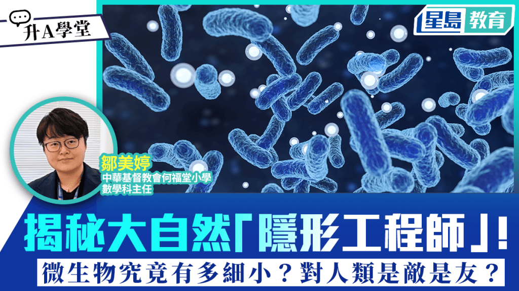 揭秘大自然「隱形工程師」！微生物究竟有多細小？對人類是敵是友？｜升A學堂
