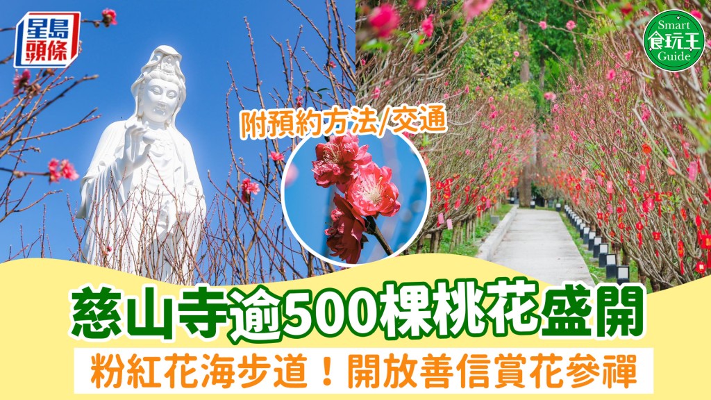 慈山寺桃花盛開！逾500棵成粉紅花海步道 開放善信賞花參禪 附預約方法/交通