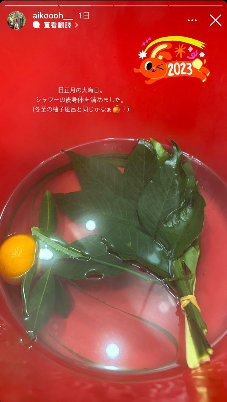 濱口愛子貼出似是碌柚葉的照片，估計是洗邋遢用。
