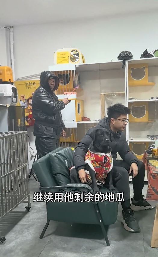 大叔用賣剩的烤番薯向寵物店換來短暫的逗貓時光。抖音@無敵奶爸