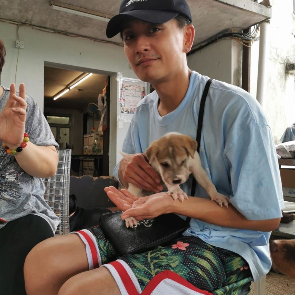 之前Bosco親自探訪大樹下動物庇護中心，探訪當日就對Kasha一見鍾情，決定領養。