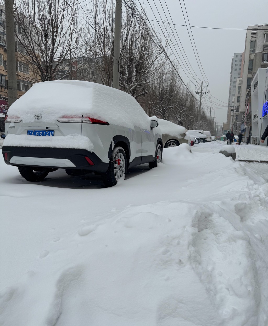 網民分享遼寧各地街頭的雪景。微博 網民分享遼寧各地街頭的雪景。微博